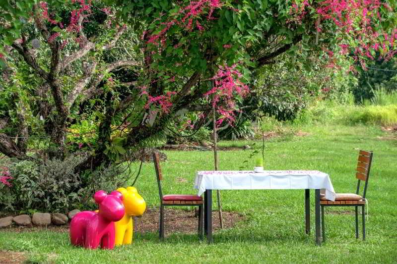 Aurora Resort Chiangdao Chiang Dao Exteriör bild